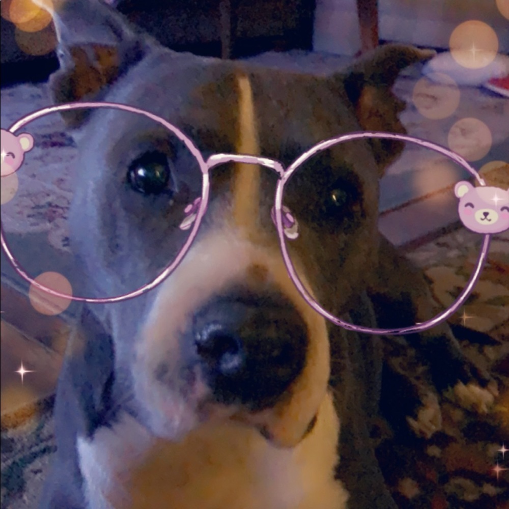 Meet your Posher, Aimme